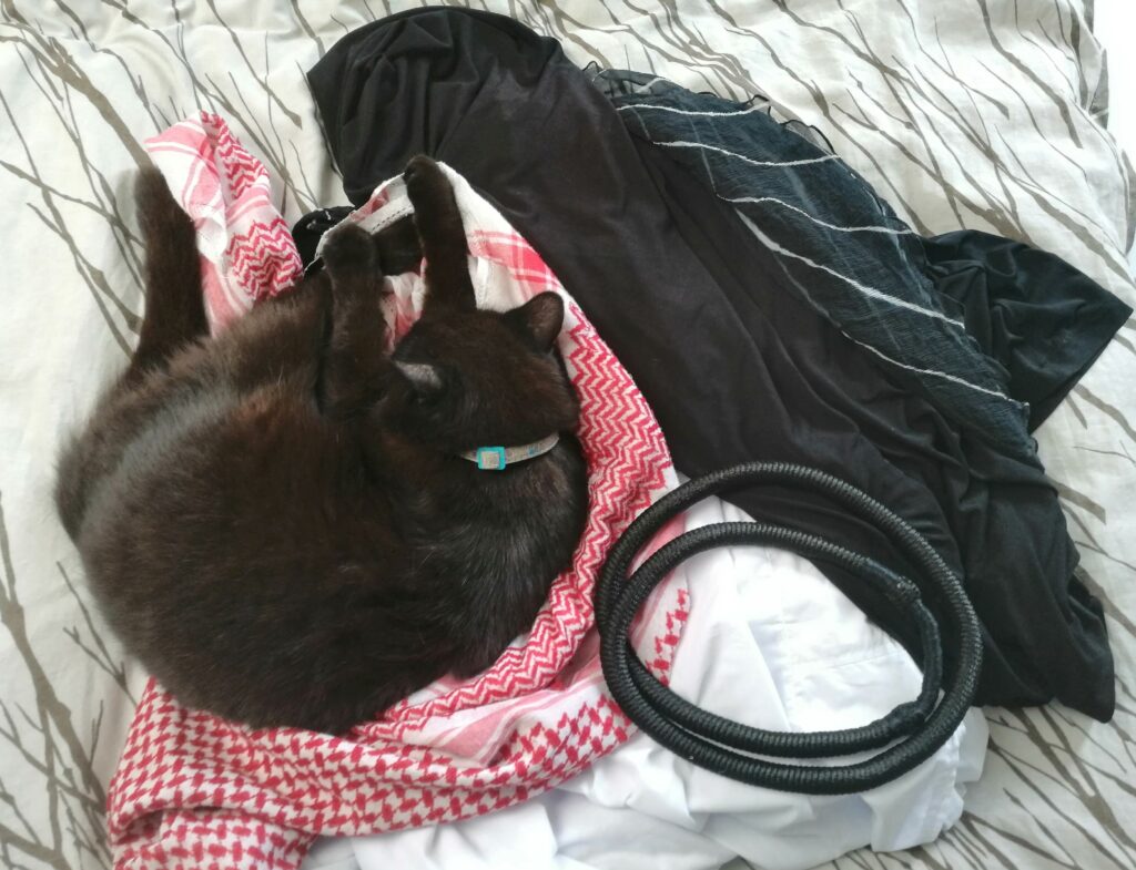 kot śpiący na ubraniach z AS