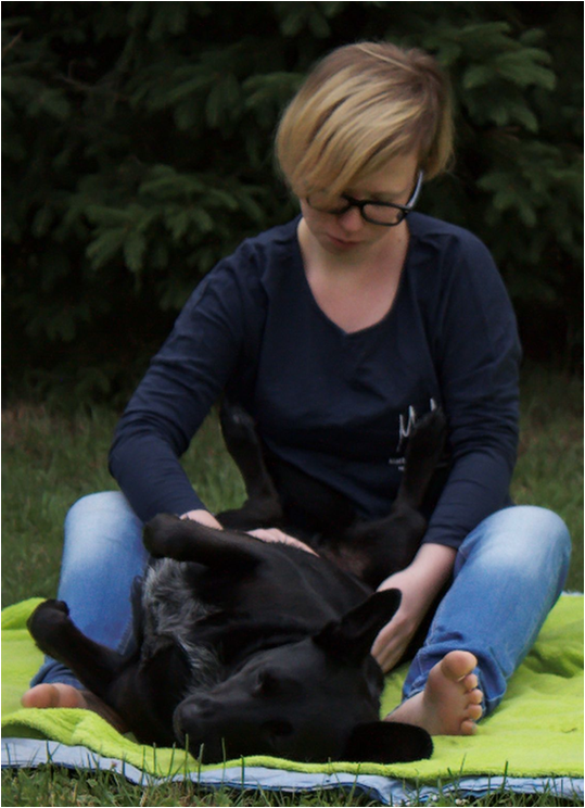 konsultacje GaSa | masaż dla psa